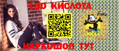 Альфа ПВП Бийск