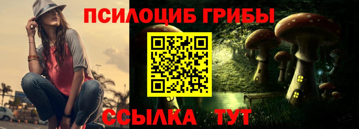 магазин продажи   Галлюциногенные грибы Psilocybine cubensis  Вход с VPN  Псилоцибиновые грибы GOLDEN TEACHER  Волжский 
